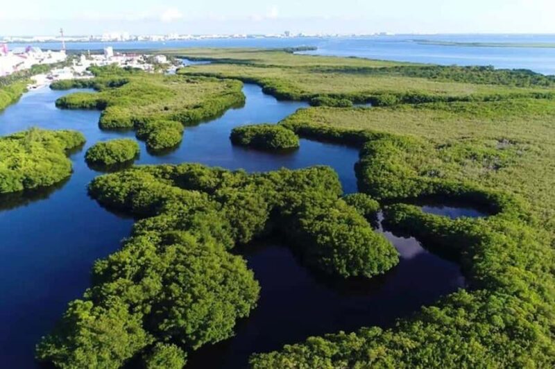 Cancun: Jungle Tour with Speedboat Ride and Snorkeling - Starting Point at Marina Aquatours in Cancun’s Zona Hotelera