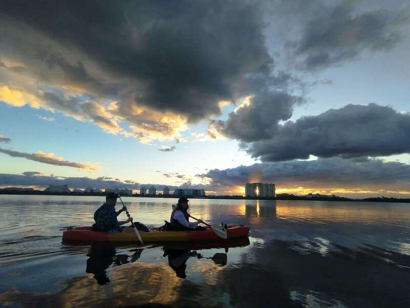 Cancun: Kayaking Tour in Nichupte Lagoon - The Experience: Navigating Nichupte Lagoon’s Mangroves