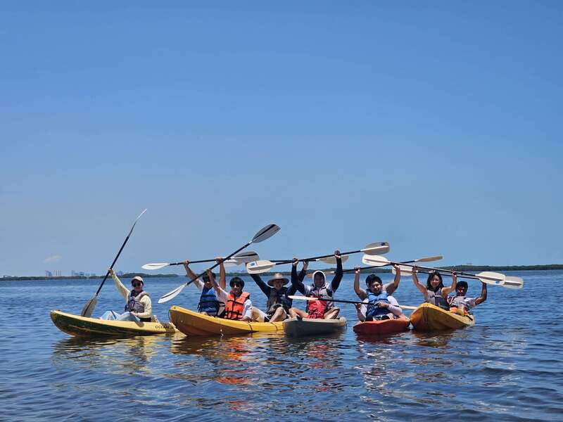 Cancun: Kayaking Tour in Nichupte Lagoon - Best Times to Kayak: Sunrise, Noon, or Sunset