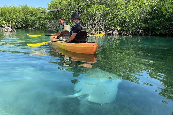 Cancun Lagoon Sunrise Kayak Adventure - The Guide’s Role in Creating a Memorable Experience