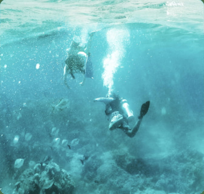 Cancun: Lionfish Expedition Package - How the Tour Facilitates Safe and Comfortable Diving