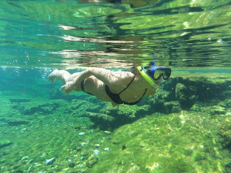 Cancun: Marine Turtle Observation in Akumal - Limitations and Considerations