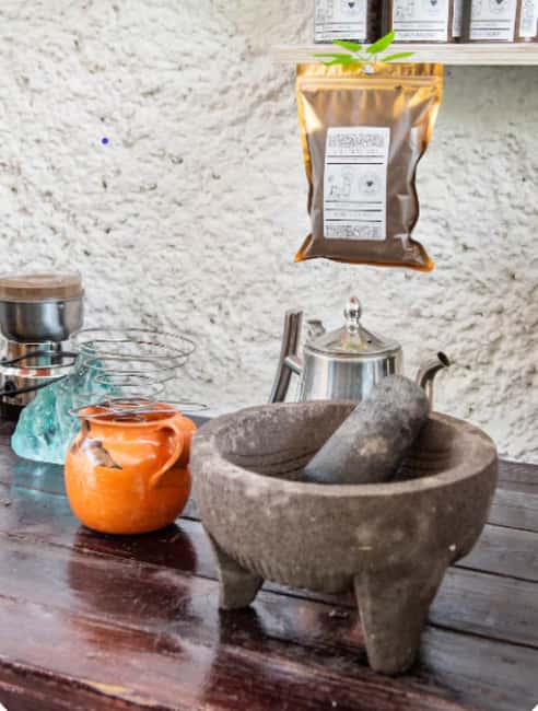 Cancún: Mexican Coffee and Maya Culture Workshop - The Cultural and Culinary Extras