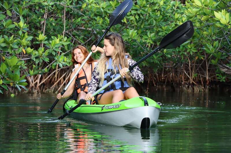 Cancun: Morning Kayak Adventure - Navigating the Lagoon and Mangroves of Laguna Nichupté