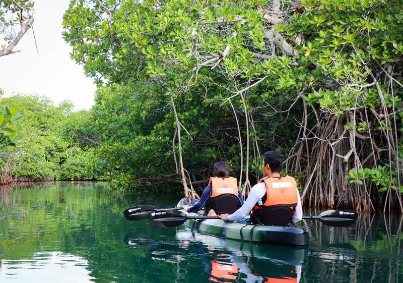 Cancun: Morning Kayak Adventure - What to Bring and What Not to Bring