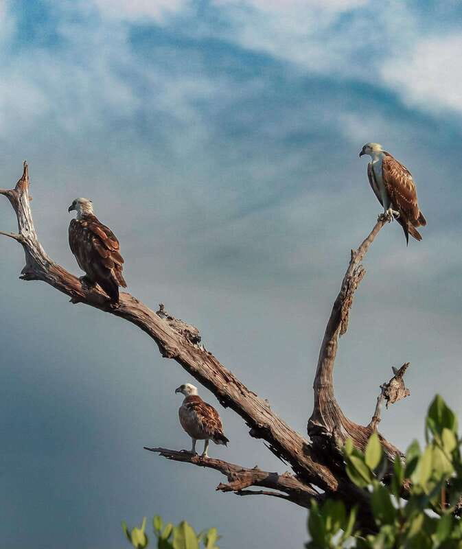 Cancun: Morning Kayak Adventure - The Guided Tour Through Laguna Nichupté’s Channels