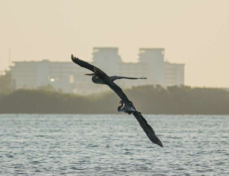 Cancun: Morning Kayak Adventure - Frequently Asked Questions