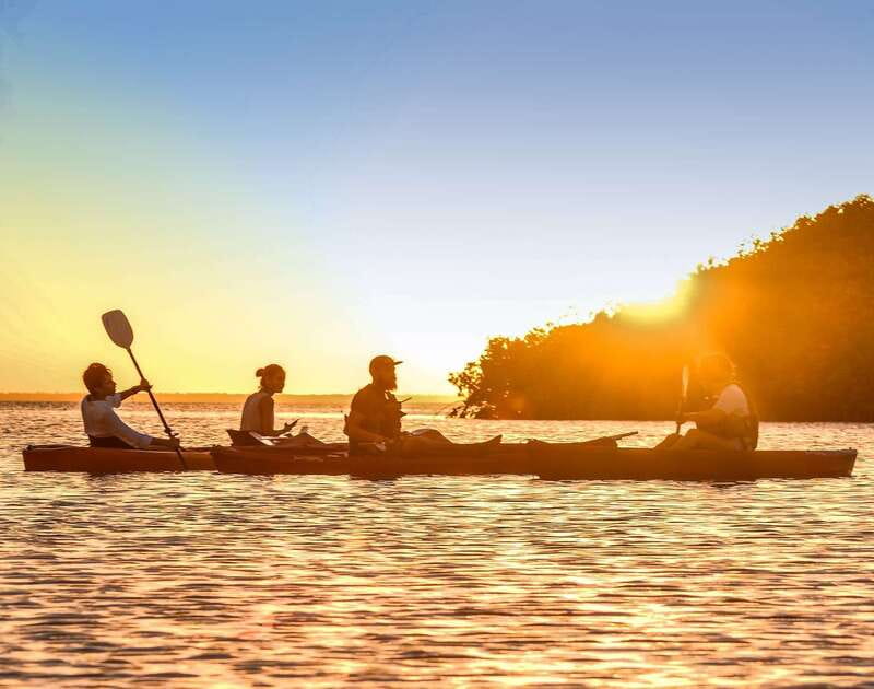 Cancún: Morning or Sunset Kayak Adventure in Nichupte Lagoon - Exploring the Nichupte Lagoons Unique Environment