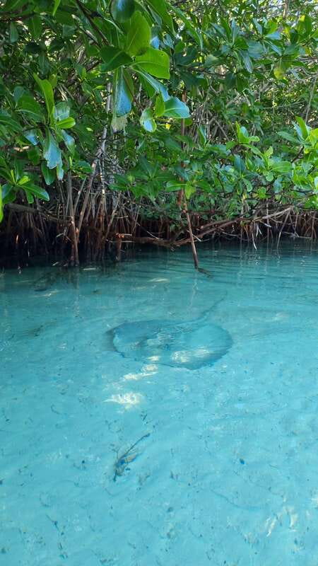 Cancún: Morning or Sunset Kayak Adventure in Nichupte Lagoon - Optional Private Tours for Personal Connection
