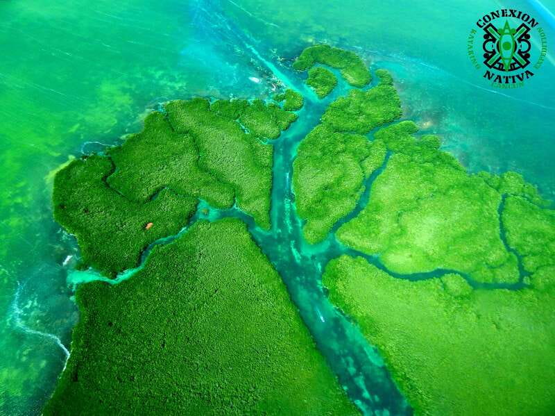 Cancún: Morning or Sunset Kayak Adventure in Nichupte Lagoon - Accessibility and Group Size Considerations