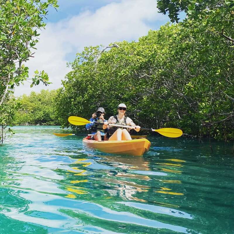 Cancún: Morning or Sunset Kayak Adventure in Nichupte Lagoon - Logistics and Meeting Point Details