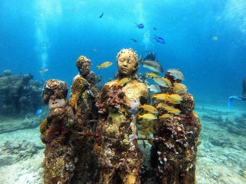 Cancun: Musa Underwater Museum & Reef Discover Scuba Diving - Reviews Highlighting Guide Expertise and Underwater Art