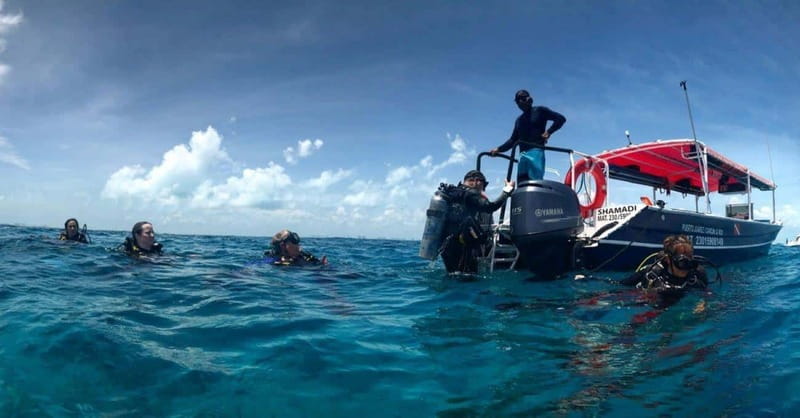 Cancun or Isla Mujeres Reef Diving for Beginners - Exploring the Beginner Reef Diving Experience in Cancun and Isla Mujeres