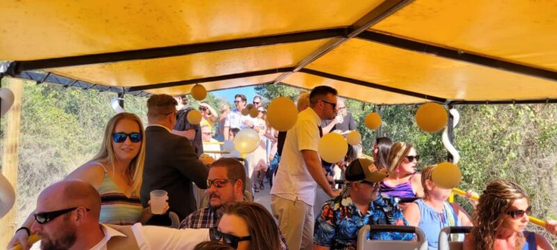 Cancun: Private 3 Hour Party Bus Experience - Cancun: Private 3 Hour Party Bus Experience — Your Rolling Celebration in Quintana Roo