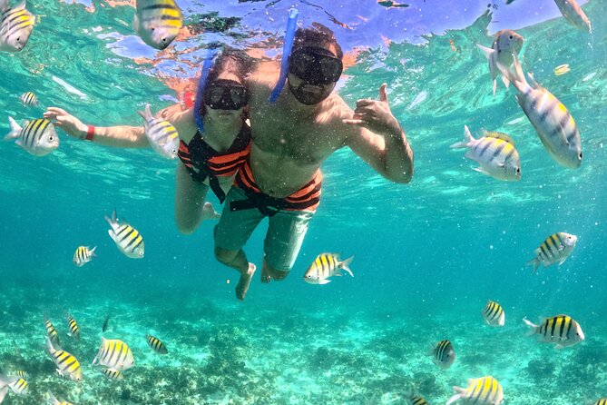 Cancún Private Catamaran to Isla Mujeres with Snorkeling & Lunch - Key Points