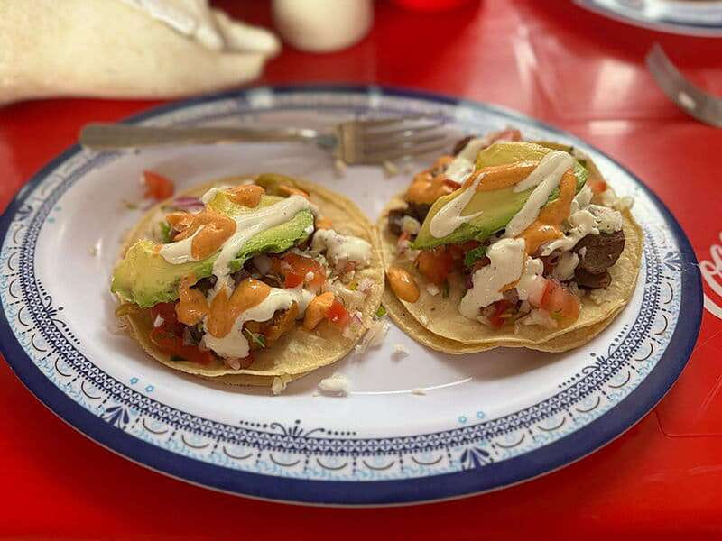 Cancún: Puerto Morelos City & Taco Tour - Starting Point and Transportation to Puerto Morelos