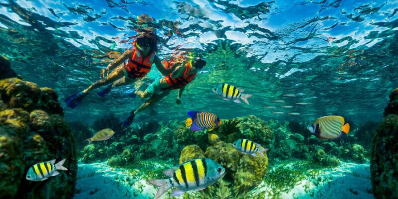 Cancún: Puerto Morelos Reef Snorkeling Tour & Seaside Lunch - Explore the Second Largest Barrier Reef with a Guided Snorkeling Tour
