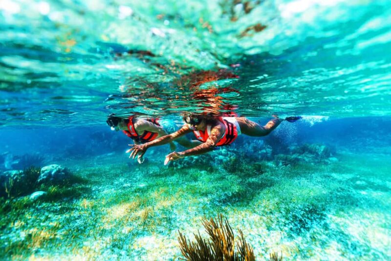 Cancún: Puerto Morelos Reef Snorkeling Tour & Seaside Lunch - Practical Details: Costs, Gear, and Restrictions