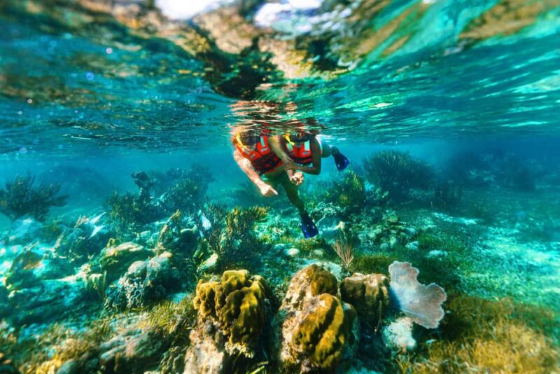 Cancún: Puerto Morelos Reef Snorkeling Tour & Seaside Lunch - Honest Feedback from Past Participants