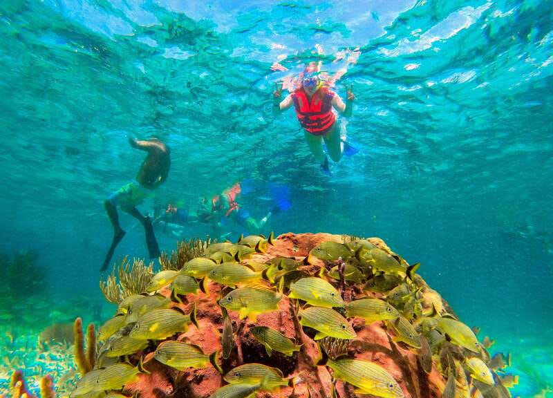 Cancún: Puerto Morelos Reef Snorkeling Tour & Seaside Lunch - The Overall Value of the Puerto Morelos Snorkeling Tour