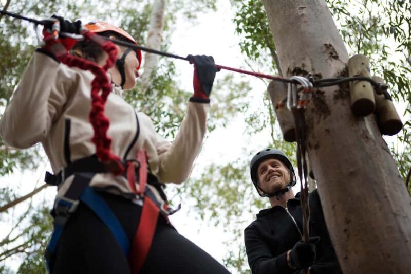 Cancun: Quad adventure, ziplines, and a swim in a jungle cenote - Who Will Enjoy This Jungle Adventure