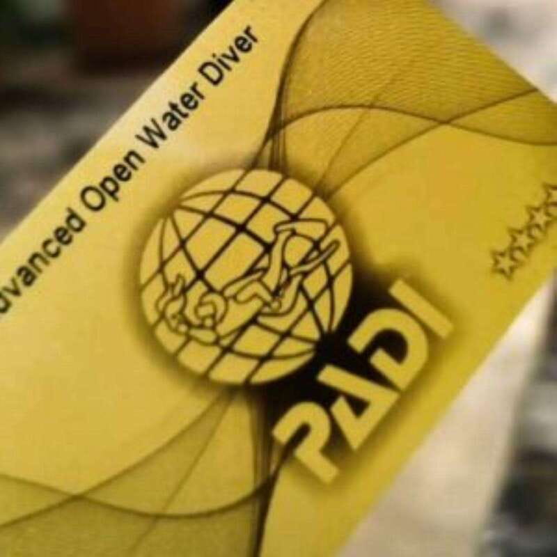 Cancun: Rescue Diver Course - Hands-On Training and Practical Dives