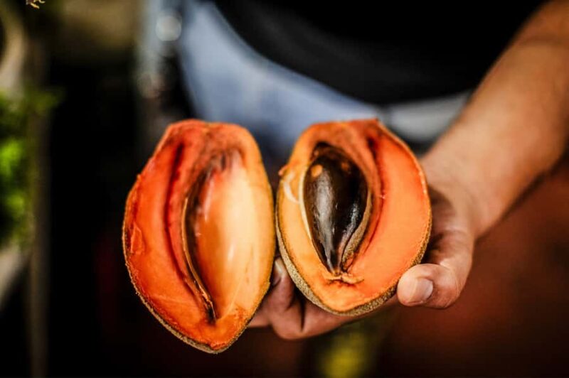 Cancún: Salsa Streets Food Tour with 15+ Tastings - The Role of the Local Guide