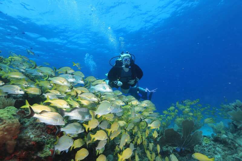 Cancun: Scuba Diving for Beginners, 2 Dives - Explore Cancuns Beginner-Friendly Scuba Tour for Two Dives