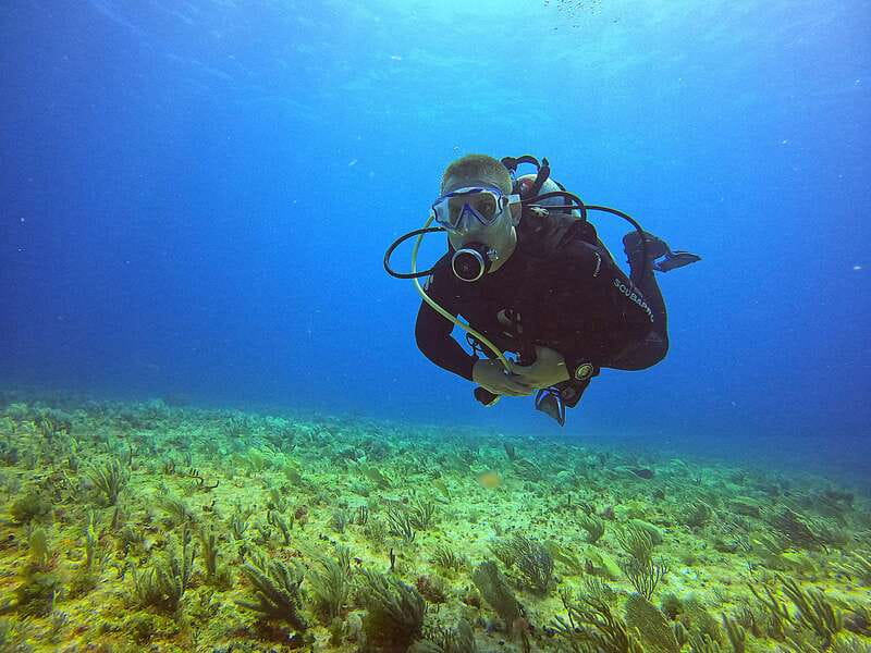 Cancun: Scuba Diving for Certified Divers, 3 options to dive - Key Points