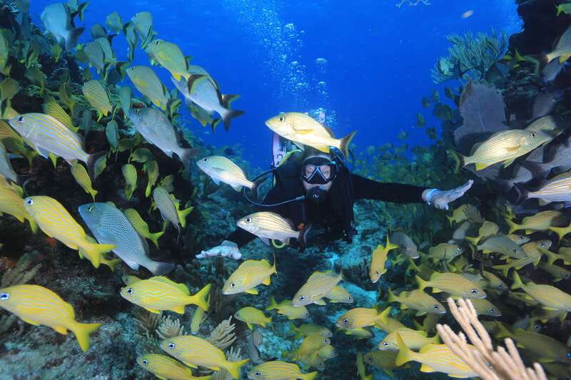 Cancun: Scuba Diving for Certified Divers, 3 options to dive - Exploring Cancuns Deep Shipwrecks