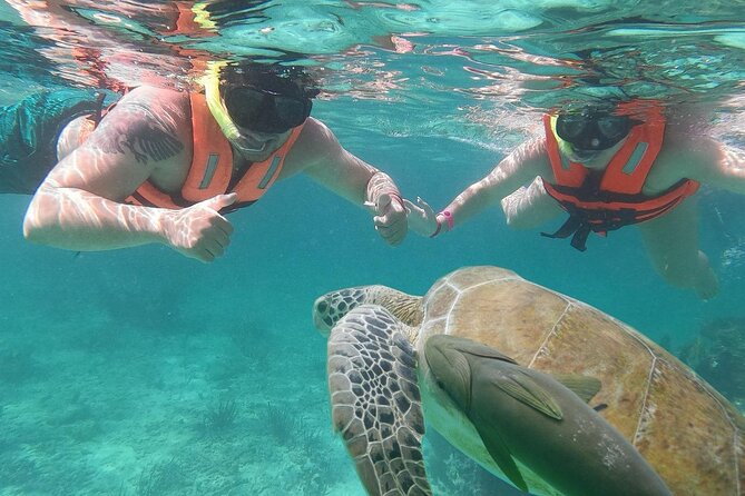 Cancun: Sea turtles and Cenote Tour With Pick Up from your Hotel - Detailed Itinerary Breakdown