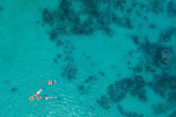 Cancun: Sea turtles and Cenote Tour With Pick Up from your Hotel - The Experience of the Guides and Group Size