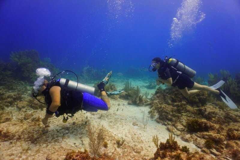 Cancun: Shipwreck and Reef Dives - Why Choose This Cancun Diving Tour