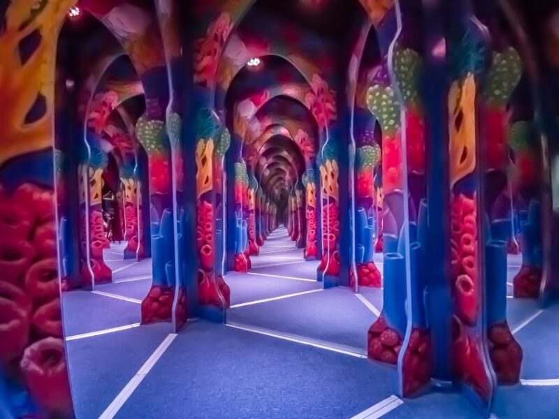 Cancún: Sky Wheel Pass GO - How the Attractions are Structured and Paced