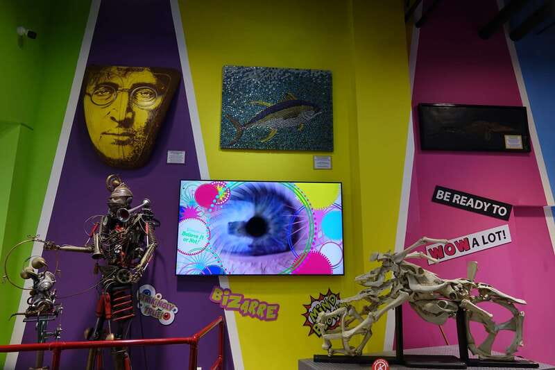 Cancún: Sky Wheel Pass GO - Logistics: Meeting, Accessibility, and Group Size