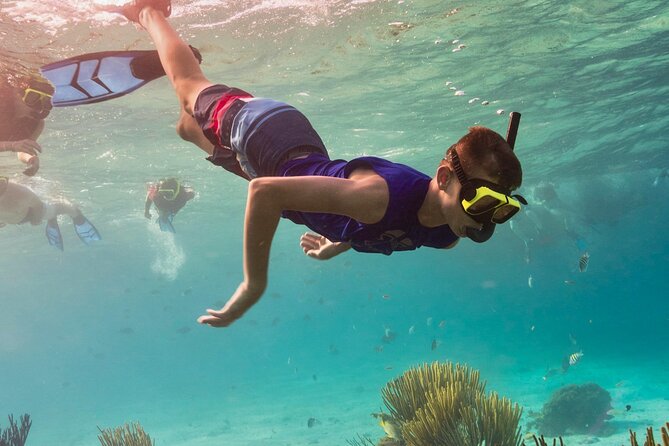 Cancun: Snorkeling Adventure at Puerto Morelos Reef - Key Points