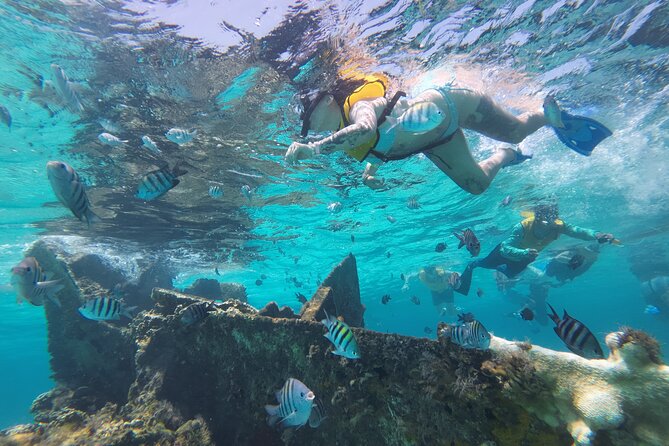 Cancun Snorkeling Adventure - Why This Tour Stands Out in Cancun