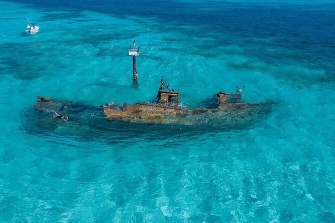 Cancun Snorkeling Adventure: Turtles, Reefs & Underwater Wonders - Exciting Snorkeling in Cancun for All Levels at $69.52