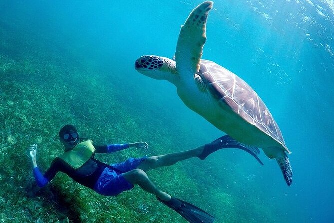 Cancun Snorkeling Adventure: Turtles, Reefs & Underwater Wonders - Easy and Safe Snorkeling in Cancun’s Marine Park