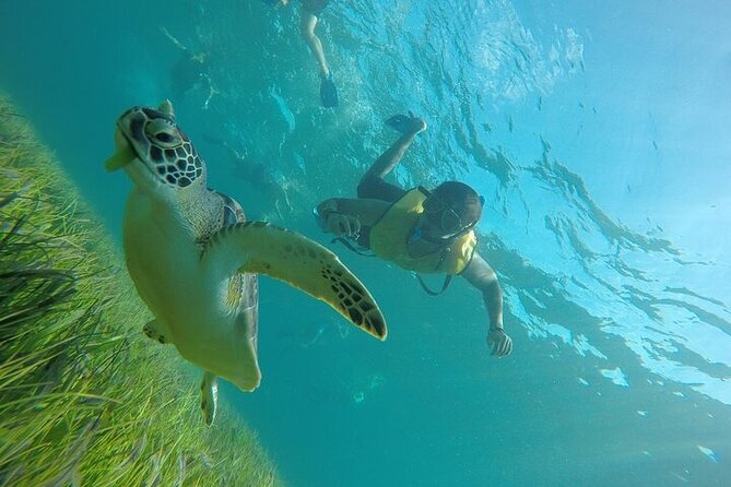 Cancun Snorkeling Adventure: Turtles, Reefs & Underwater Wonders - Tour Limitations and Considerations