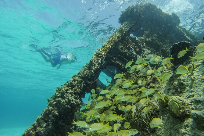 Cancun Snorkeling Adventure: Underwater Museum, Reef & Shipwreck - Visiting the Shipwreck and the Underwater Environment