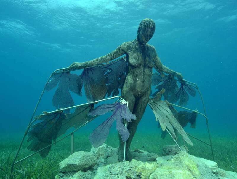 Cancun: Snorkeling Tour at MUSA The Underwater Museum - Practical Tips for a Smooth Snorkeling Experience