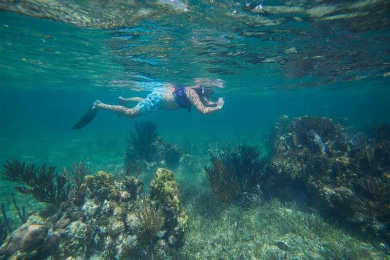 Cancun: Snorkeling Tour with Hotel Pickup - Coral Reefs and Marine Turtles: What You See