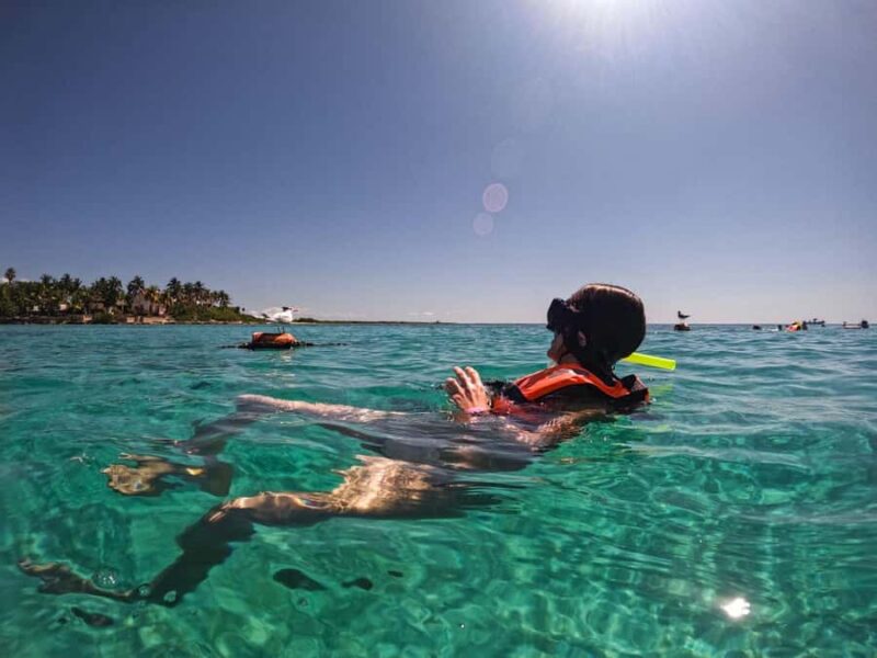 Cancun: Snorkeling tour with Sea Turtles & Cenote, half day. - Physical Requirements and Accessibility