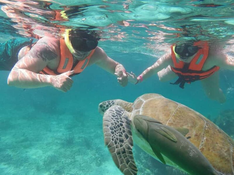 Cancun: Snorkeling tour with Sea Turtles & Cenote, half day. - What Sets This Tour Apart from Similar Options