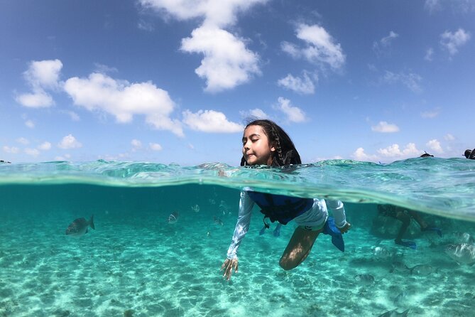 Cancun Speed Boat, Parasailing and Dolphin Beach with Transport - Exciting Adventure in Cancun: Speed Boat, Parasailing, and Dolphin Beach Tour