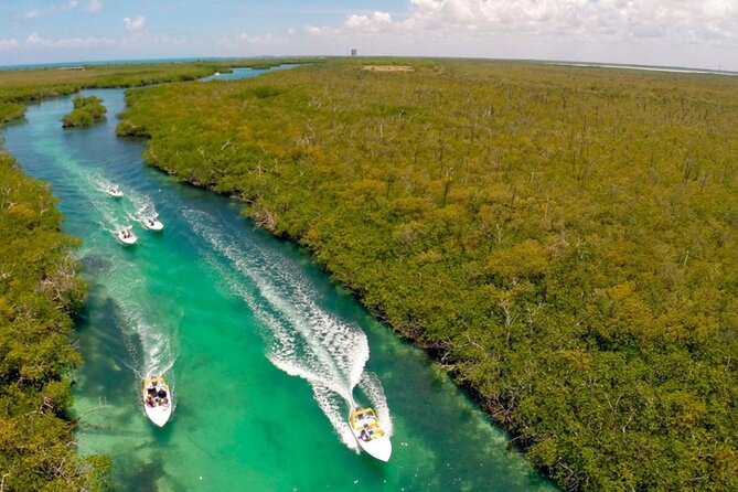 Cancun Speed Boat, Parasailing and Dolphin Beach with Transport - Parasailing: Floating 60 Meters Above the Caribbean