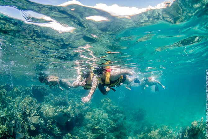 Cancun Speedboat And Snorkel Tour - Discovering the MUSA Underwater Museum