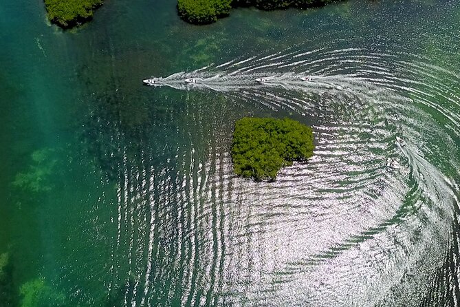 Cancun Speedboat And Snorkel Tour - Gear and Snacks Included for a Complete Experience