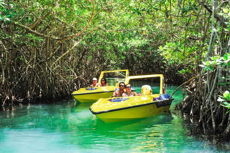 Cancun: Speedboat Mangrove Jungle & Snorkel Tour - Key Points